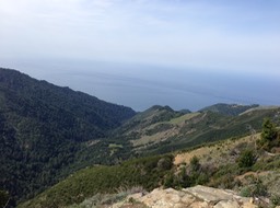 IMG_2855