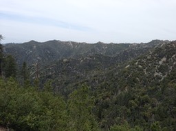 IMG_2871