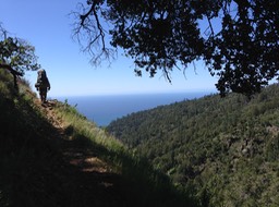 IMG_2948