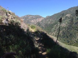 IMG_2984