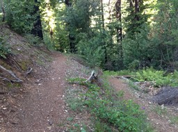IMG_3013