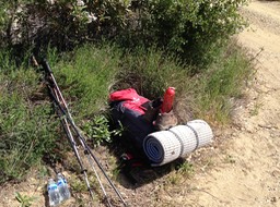 IMG_3029