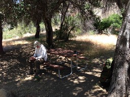 IMG_3194