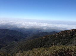 IMG_3353
