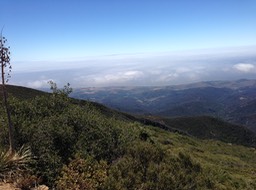 IMG_3361