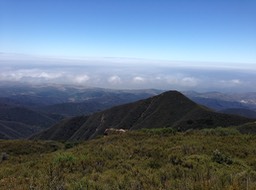 IMG_3372