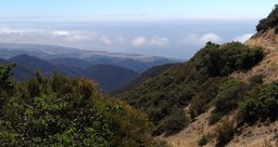 IMG_3375