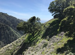 IMG_3424