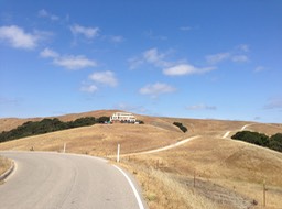 IMG_3451