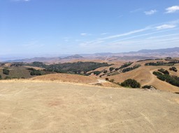 IMG_3456
