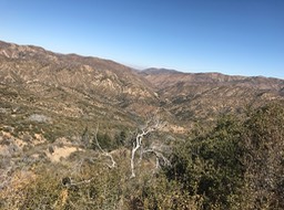 IMG_3543 2