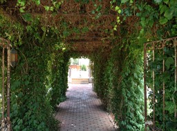 IMG_3615