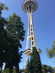 IMG_3713
