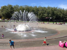 IMG_3720