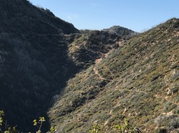 IMG_3945