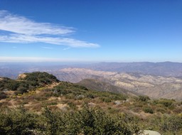 IMG_4047