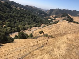 IMG_4073