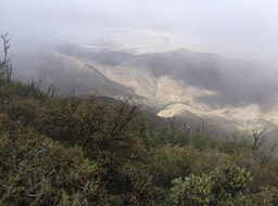 IMG_4164