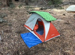 IMG_4232