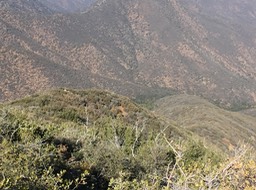 IMG_4310