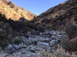 IMG_4359