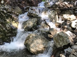 IMG_4379