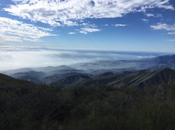 IMG_4701