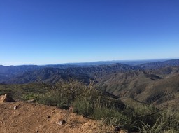 IMG_4824