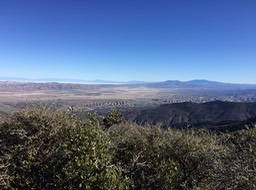 IMG_4841