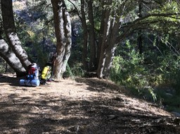 IMG_5209