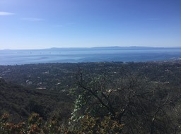 IMG_5214