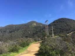 IMG_5217
