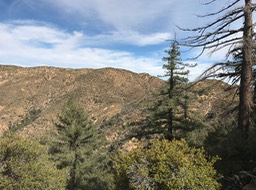 IMG_5220