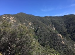 IMG_5220