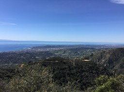 IMG_5222