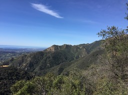 IMG_5223