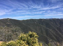 IMG_5240