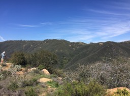 IMG_5241