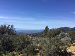 IMG_5242
