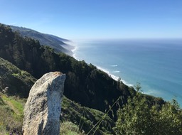 IMG_5245