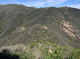 IMG_5268