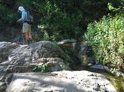 IMG_5276