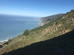 IMG_5286