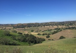 IMG_5394