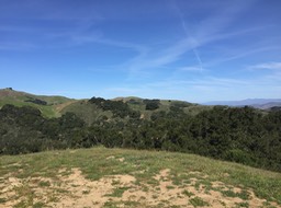 IMG_5483