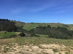 IMG_5484