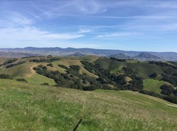 IMG_5491