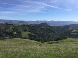 IMG_5492