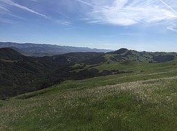 IMG_5493
