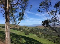 IMG_5499